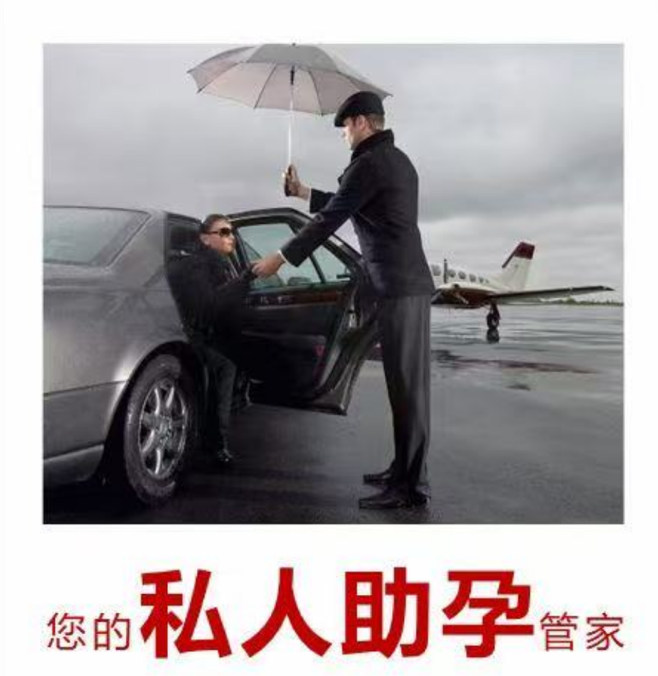 公司简介
