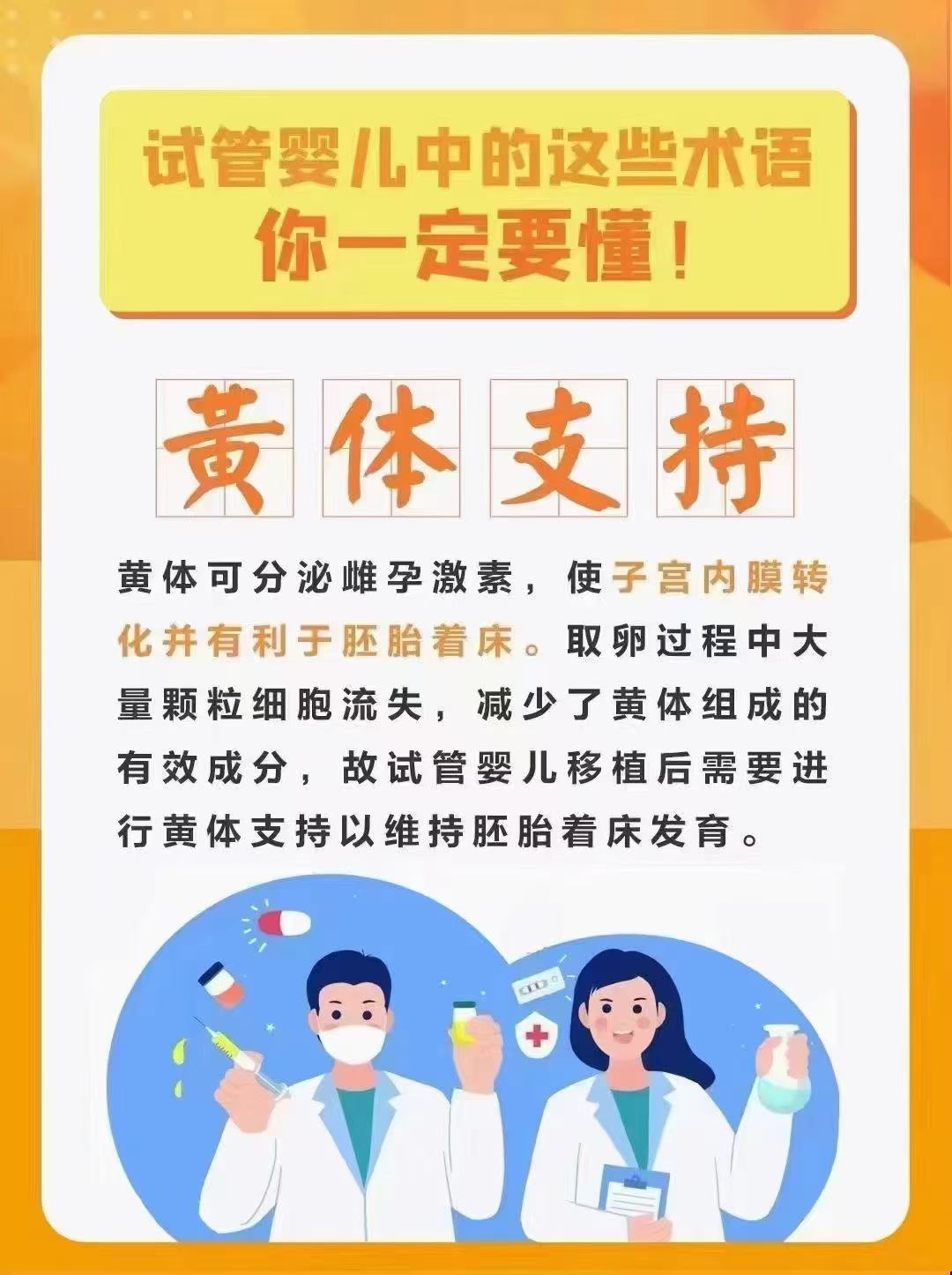 黄体支持